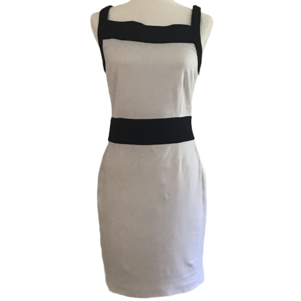 Banana Republic  Navy Blue White Ponte dress